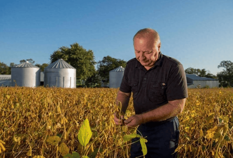 皇冠信用网开户_对华出口下降70%！特朗普大打出手皇冠信用网开户，没想到第一个倒下的竟是自己人