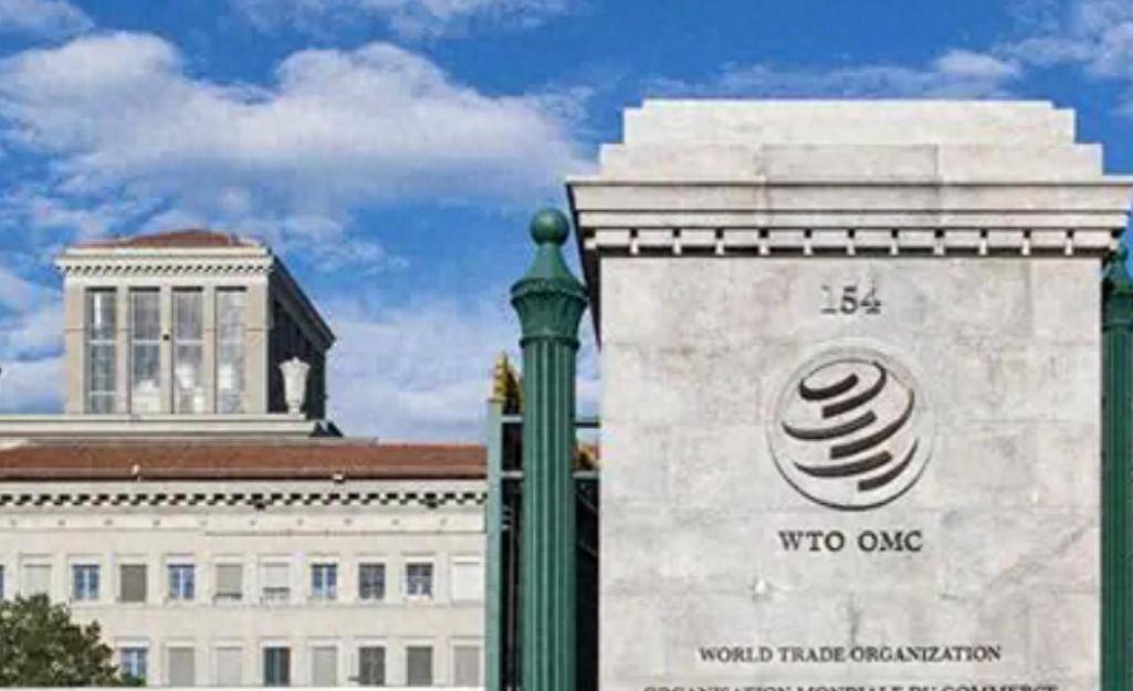 皇冠信用网登3出租
_加拿大自食苦果皇冠信用网登3出租
,全球160多个国家收到中方通知,加拿大政府后悔也来不及了