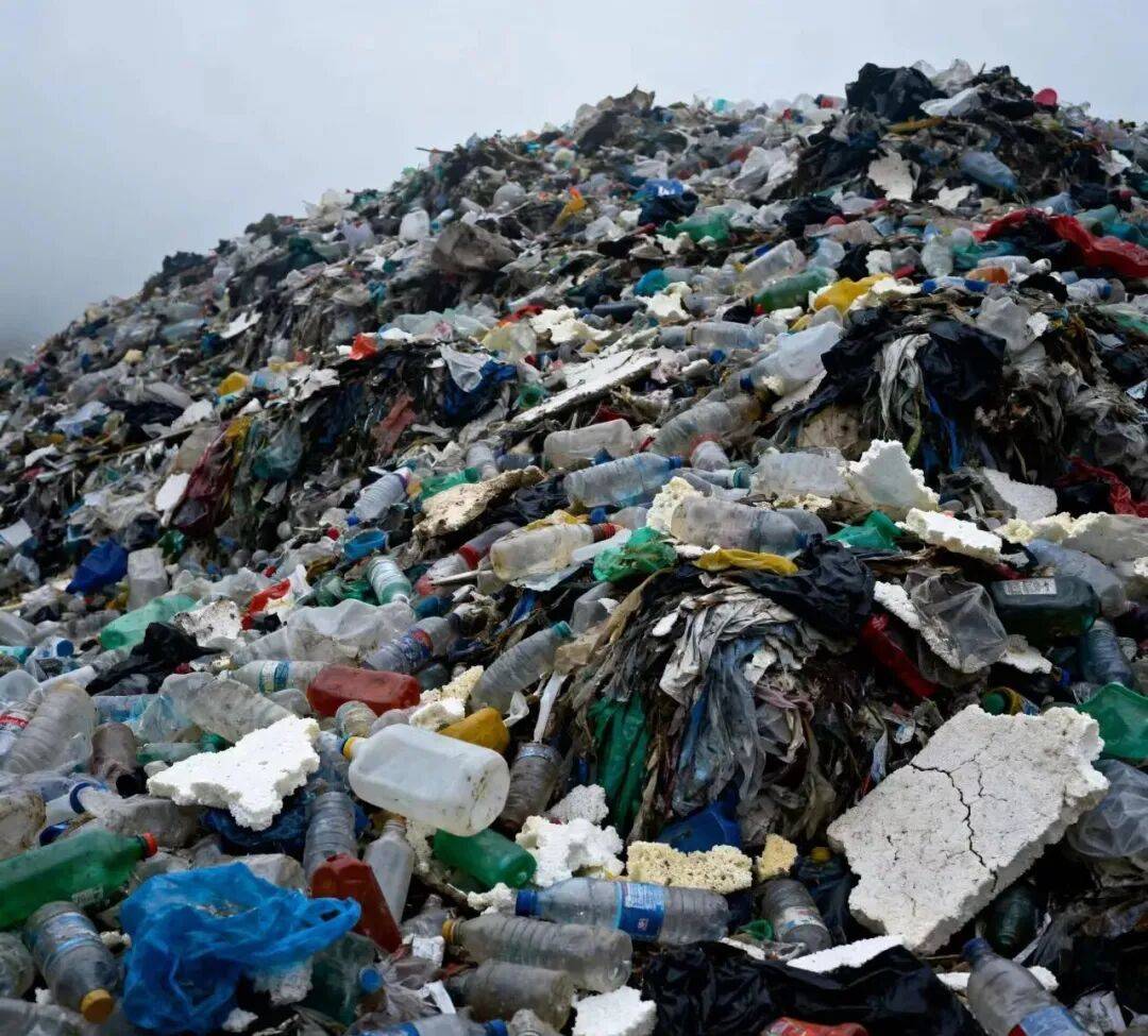 皇冠2登录welcome_中国外卖袋皇冠2登录welcome,悄悄占领非洲