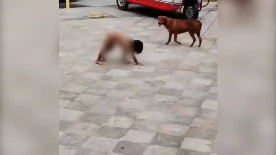 皇冠登3管理出租
_村民:“野人小孩”父亲上山“灵修”后就不正常皇冠登3管理出租
了