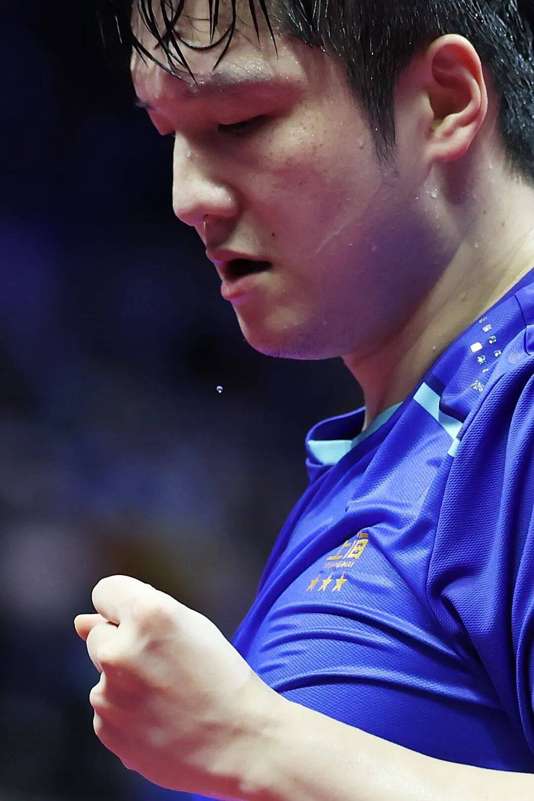 买球的正规网站
_现场|当樊振东把全运会打成舒适区买球的正规网站
,我们要急着他回来吗?