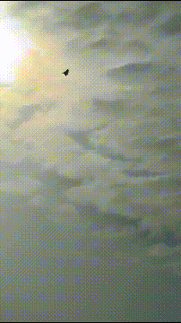 皇冠信用账号怎么开_被打惨后皇冠信用账号怎么开，伊朗空军飞行员对苏-57感到失望：本来要买150架歼-10