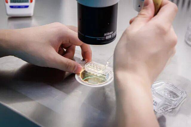 世界杯亚洲区预选赛
_一婴儿出生就15岁世界杯亚洲区预选赛
!被称为“最老婴儿”