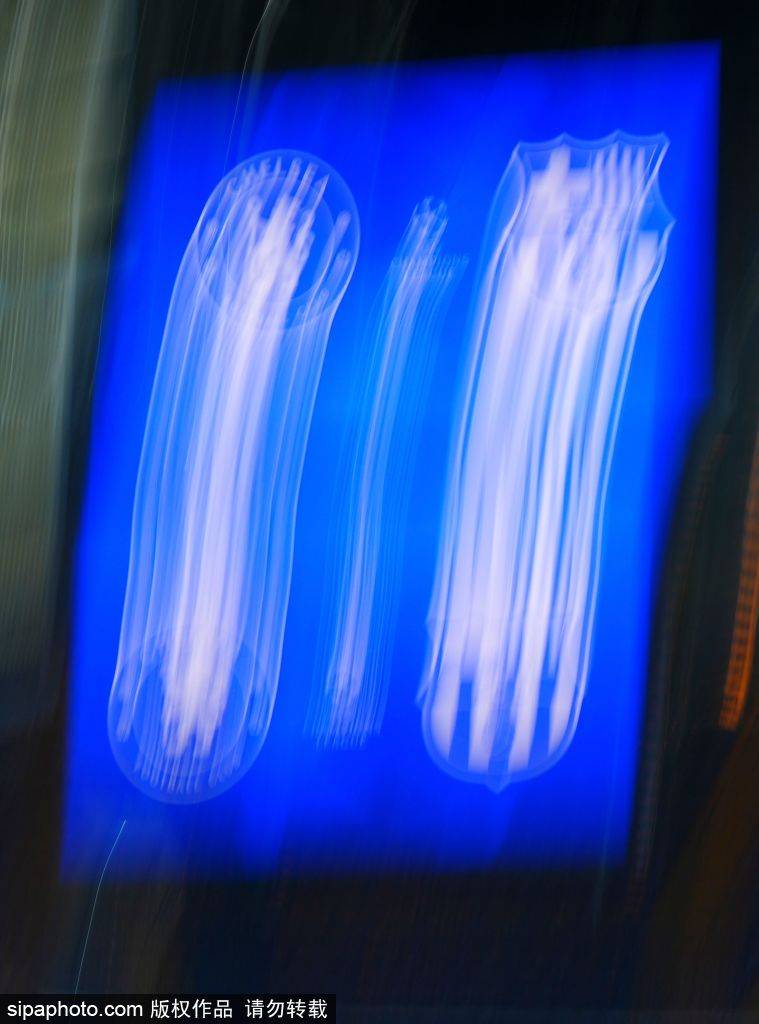 皇冠皇冠信用网开户_红牌体质回来了？切尔西本赛季第7次吃红牌皇冠皇冠信用网开户，近两场均有人染红