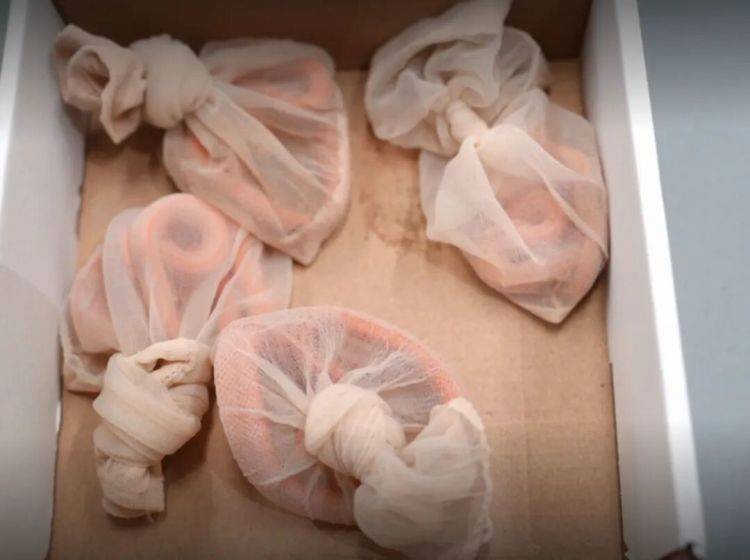 信用网如何申请
_女子神色慌张信用网如何申请
,海关在其裤子口袋内查获4条用肉色丝袜装着的活体蛇