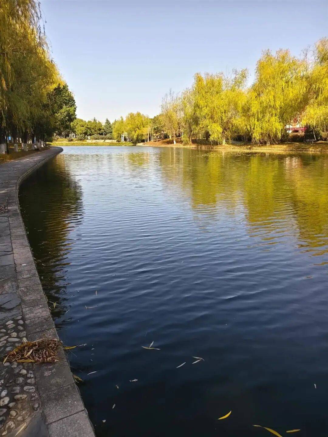 皇冠信用網在哪里开通
_安徽一大学生在校园内溺水身亡皇冠信用網在哪里开通
,疑参加游戏时不慎坠湖,学校回应