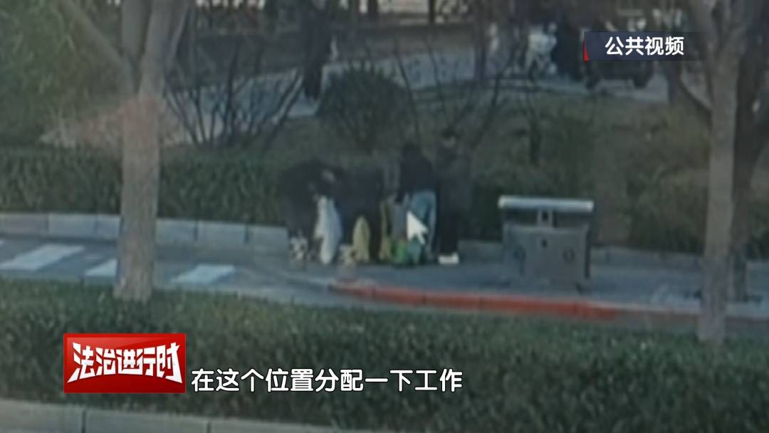 皇冠体育
_北京警方刑拘4人:父亲带着儿子和女儿“扫楼式盗窃快递”